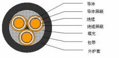 3*2.5，3*3，3*4，3*6，3*10，3*16，3*25屏蔽電纜結(jié)構(gòu)圖